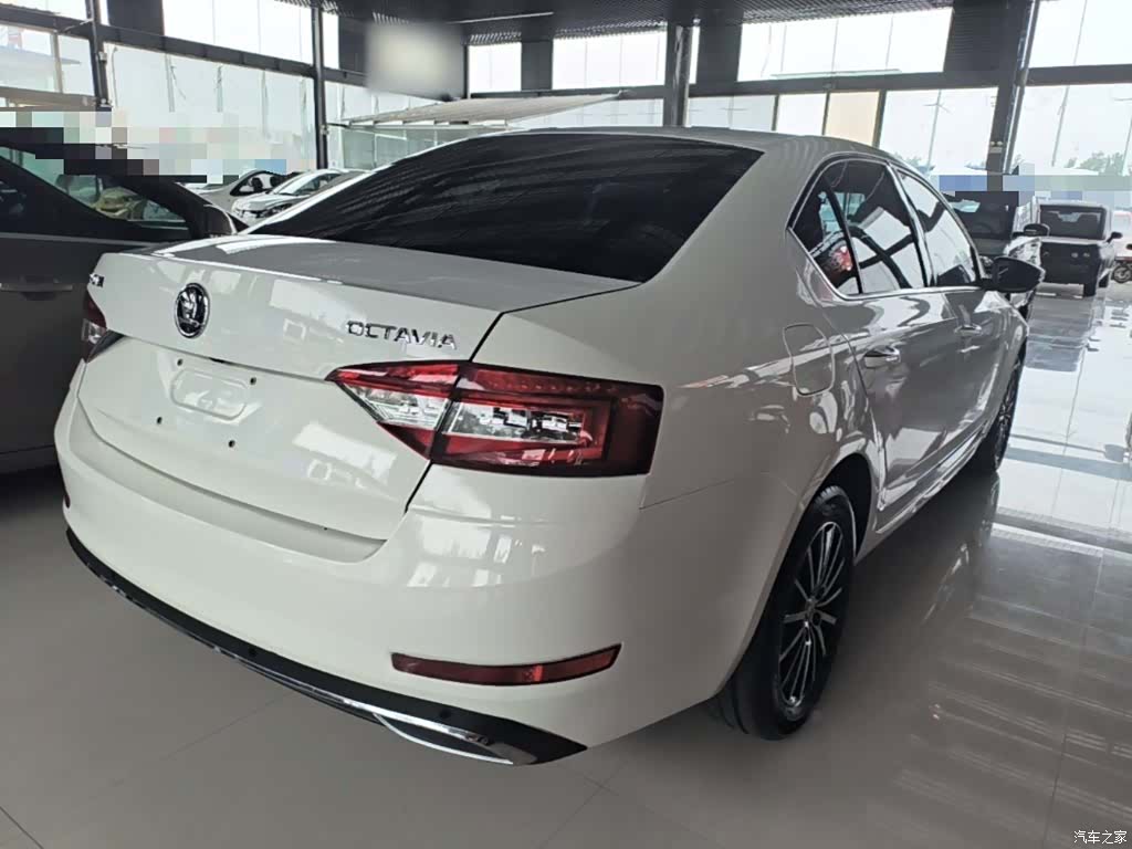 Skoda Octavia, 2017 все фото