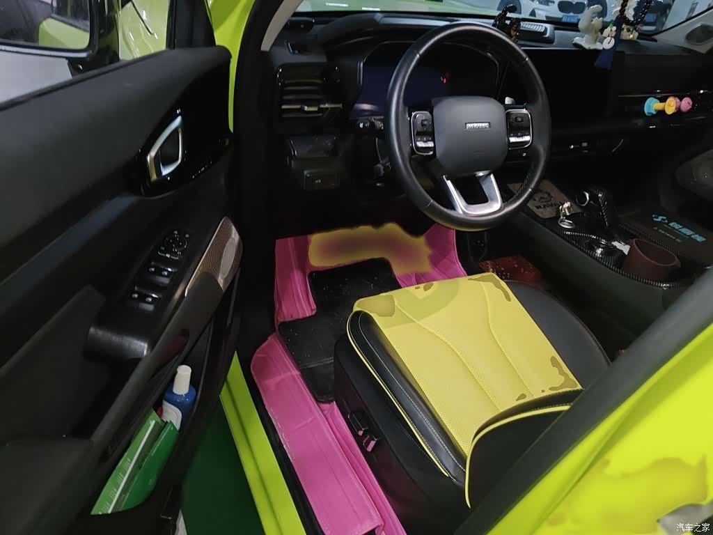 Haval Cool Dog, 2023 14