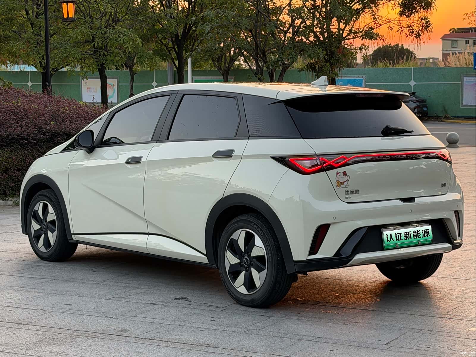 BYD Dolphin, 2024 17