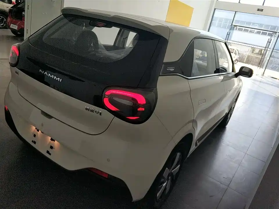 Dongfeng Nammi Nano 01