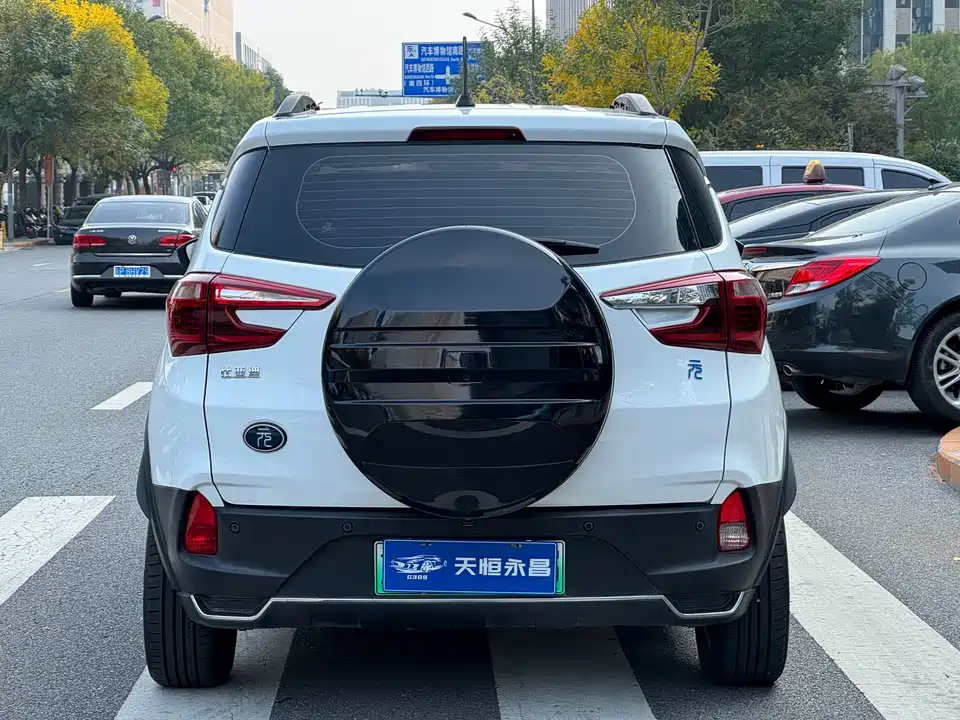 BYD Yuanxin Energy