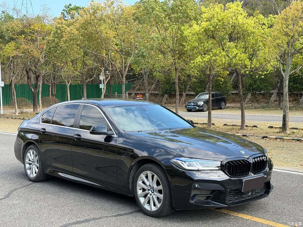 BMW 5 Series, 2013 3