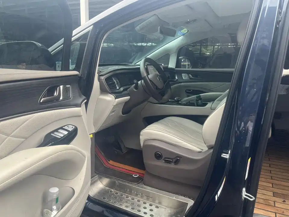 Denza D9