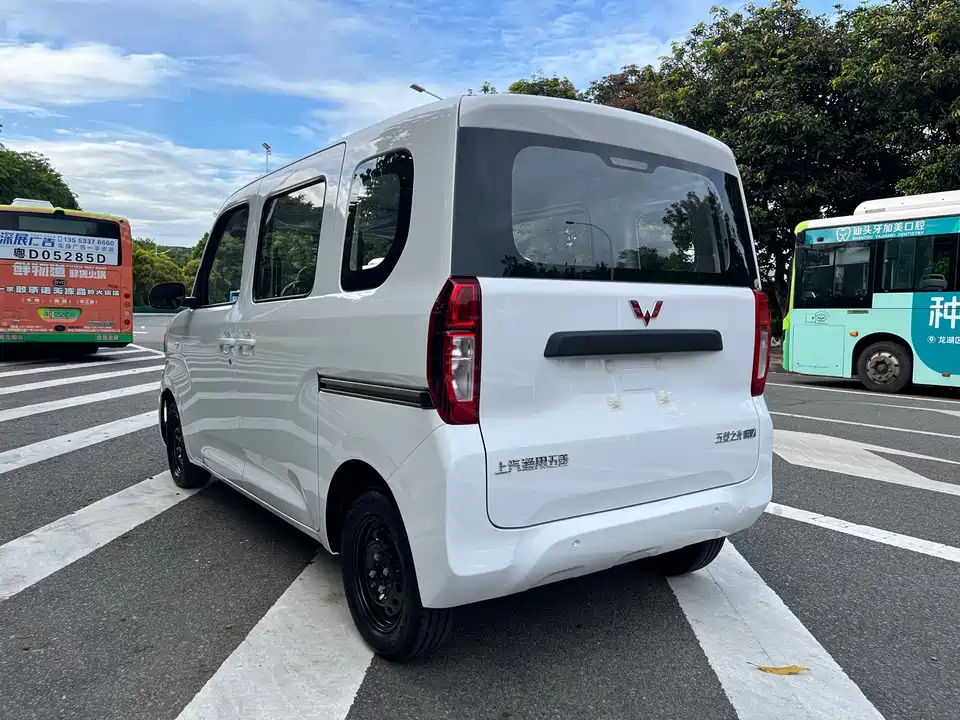 Wuling Wuling Zhiguang