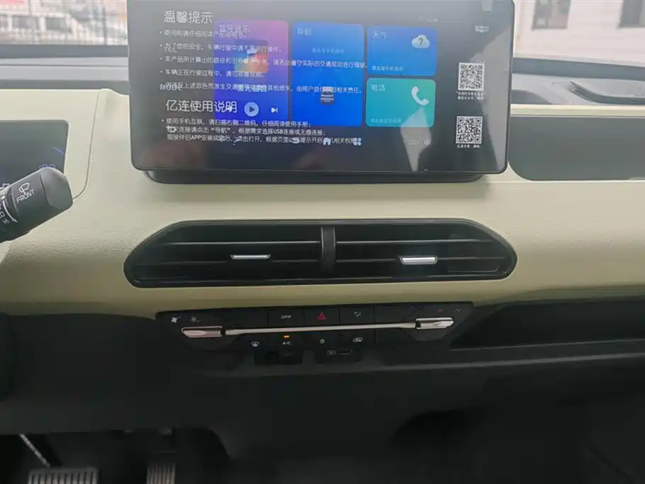 Geely Galaxy panda