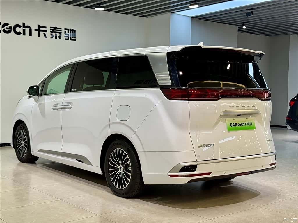 Denza D9, 2024 6
