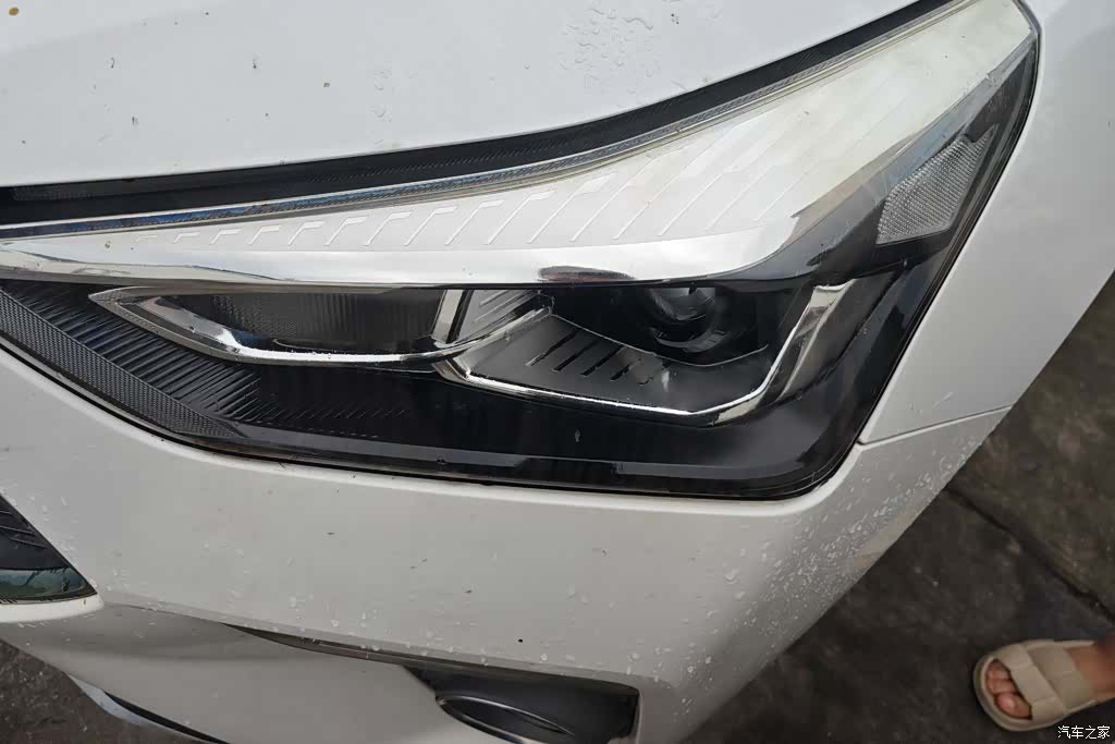 Haval H6, 2019 все фото