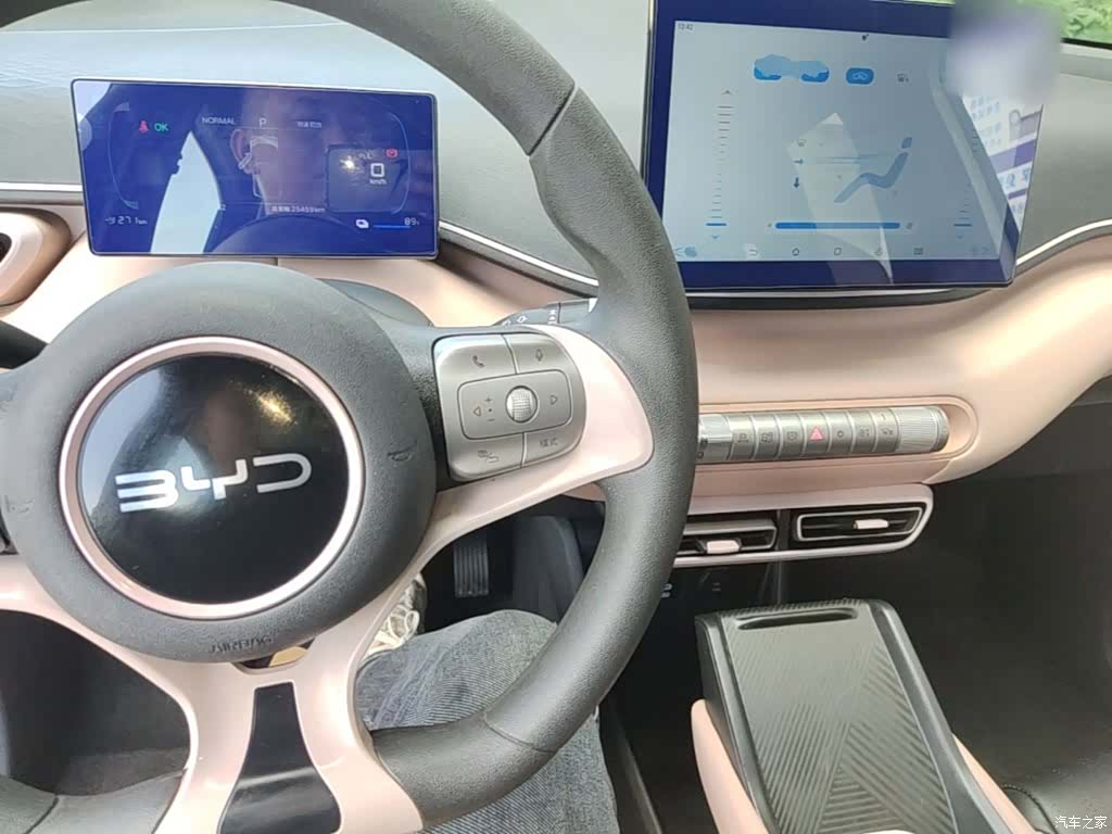 BYD Seagull, 2024 10