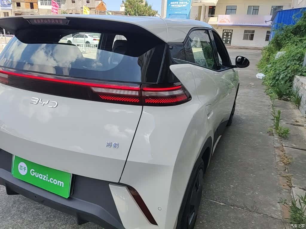 BYD Seagull, 2024 8