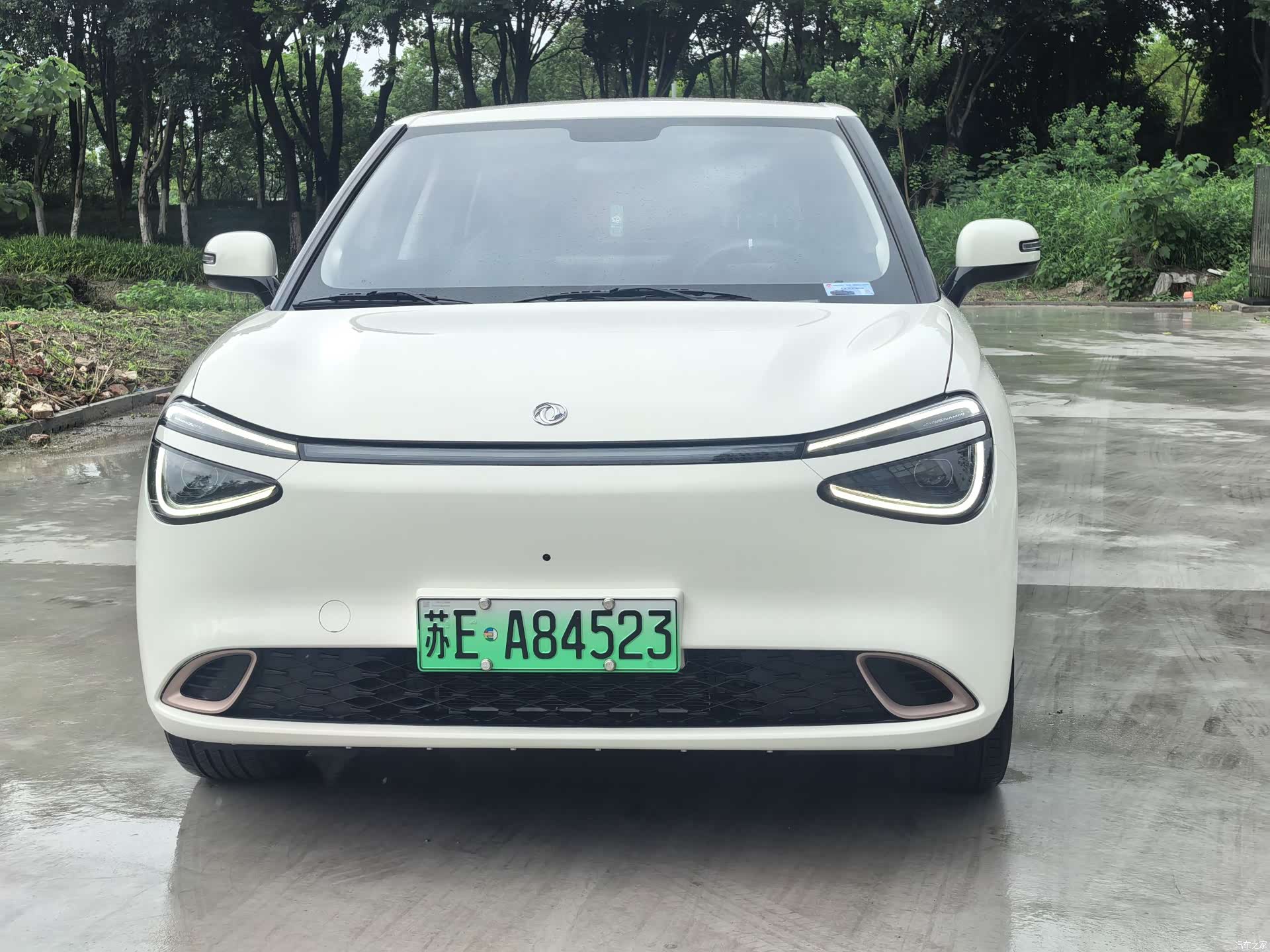DongFeng 01, 2024 2