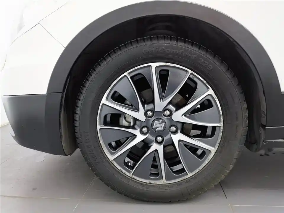 Suzuki Fengyu