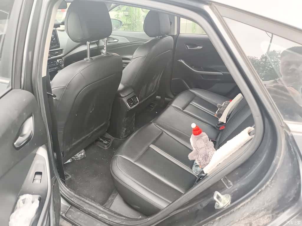 Hyundai Lafesta, 2020 13