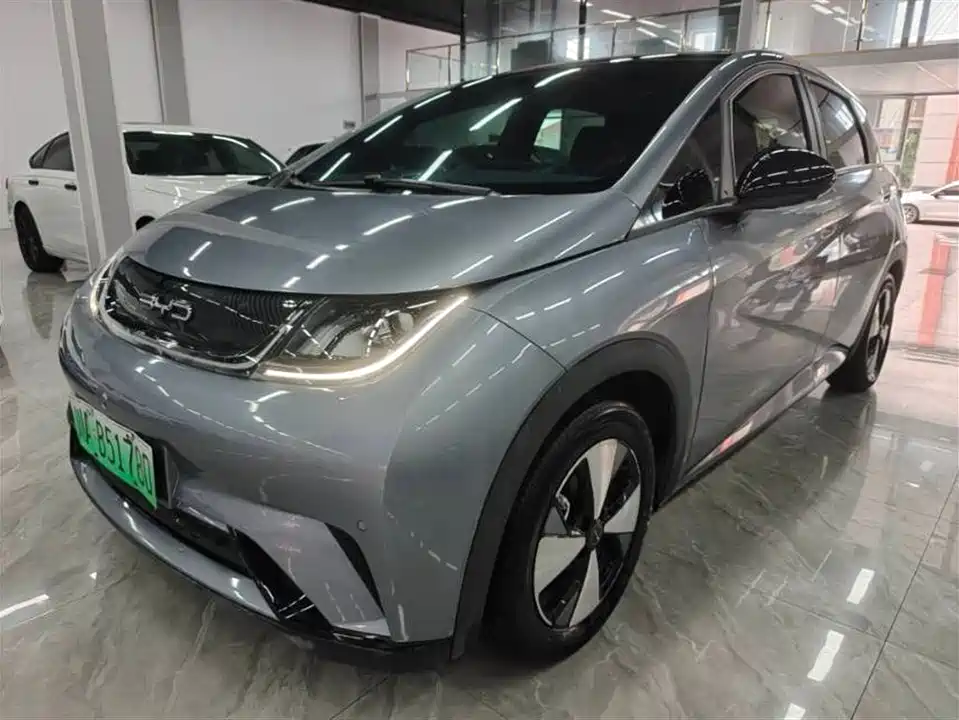 BYD dolphin