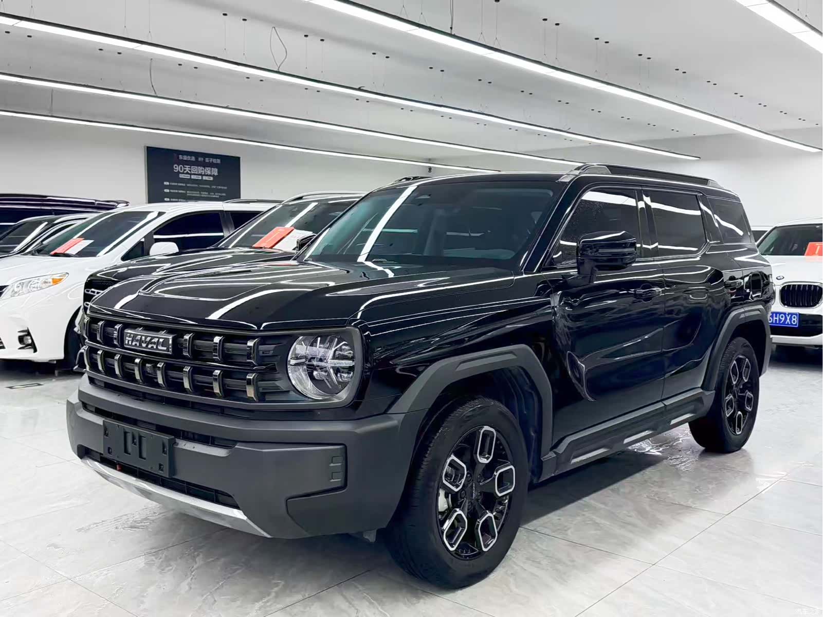 Haval Cool Dog