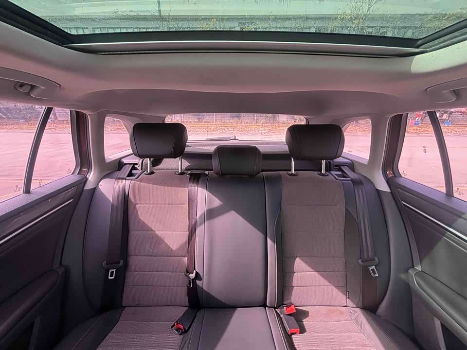 Volkswagen C-TREK Wei Collar