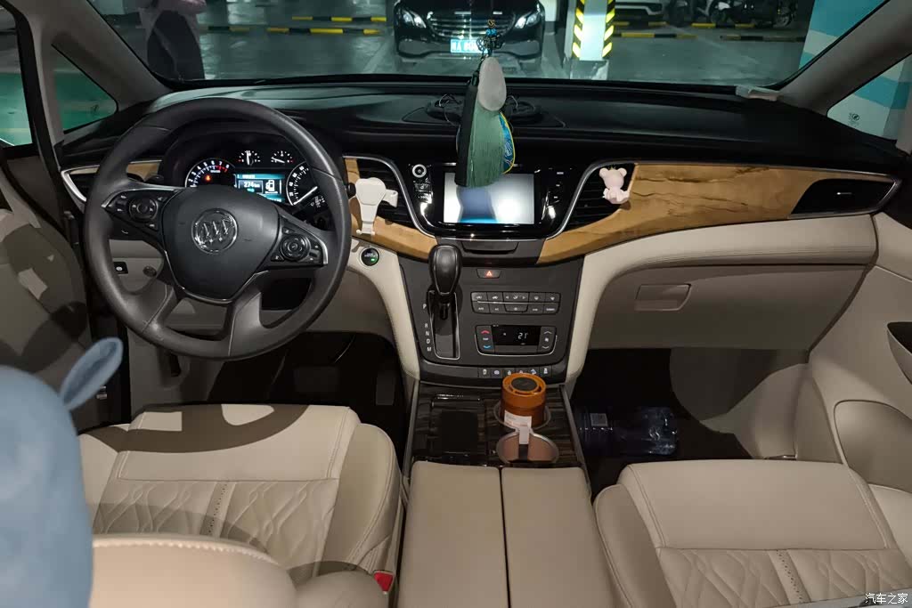 Buick GL8, 2019 12