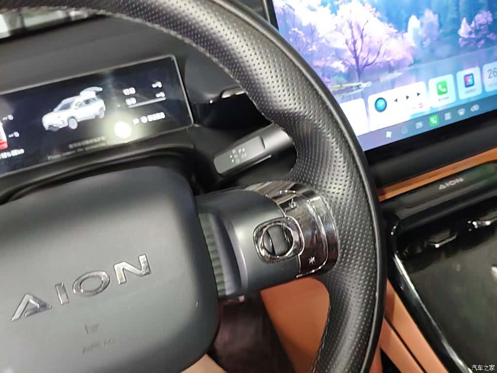 Aion V, 2024 14