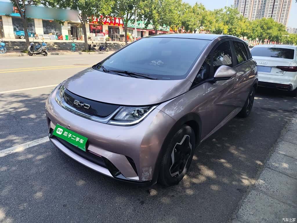 BYD Dolphin, 2022 2