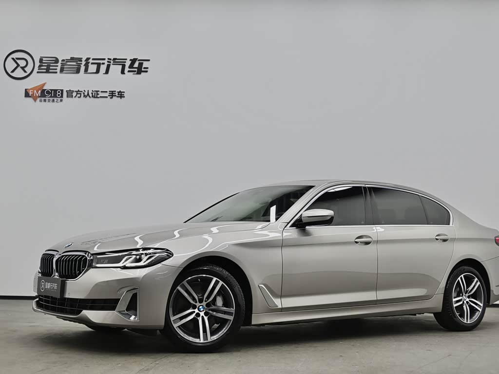 BMW 5 Series 5 2021 530Li xDrive Luxury