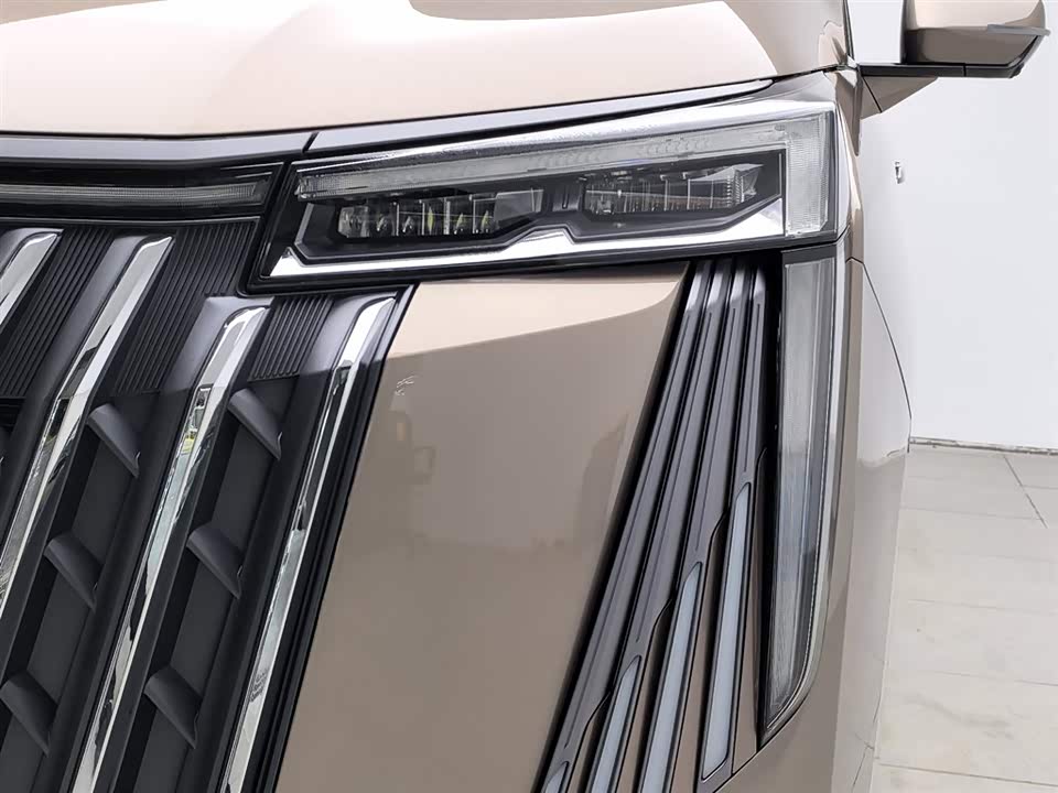 Trumpchi Trumpchi M8