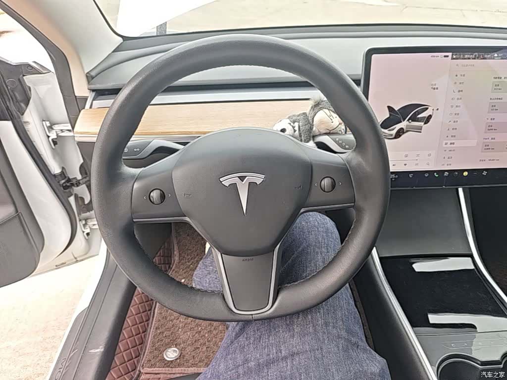 Tesla Model 3, 2021 11