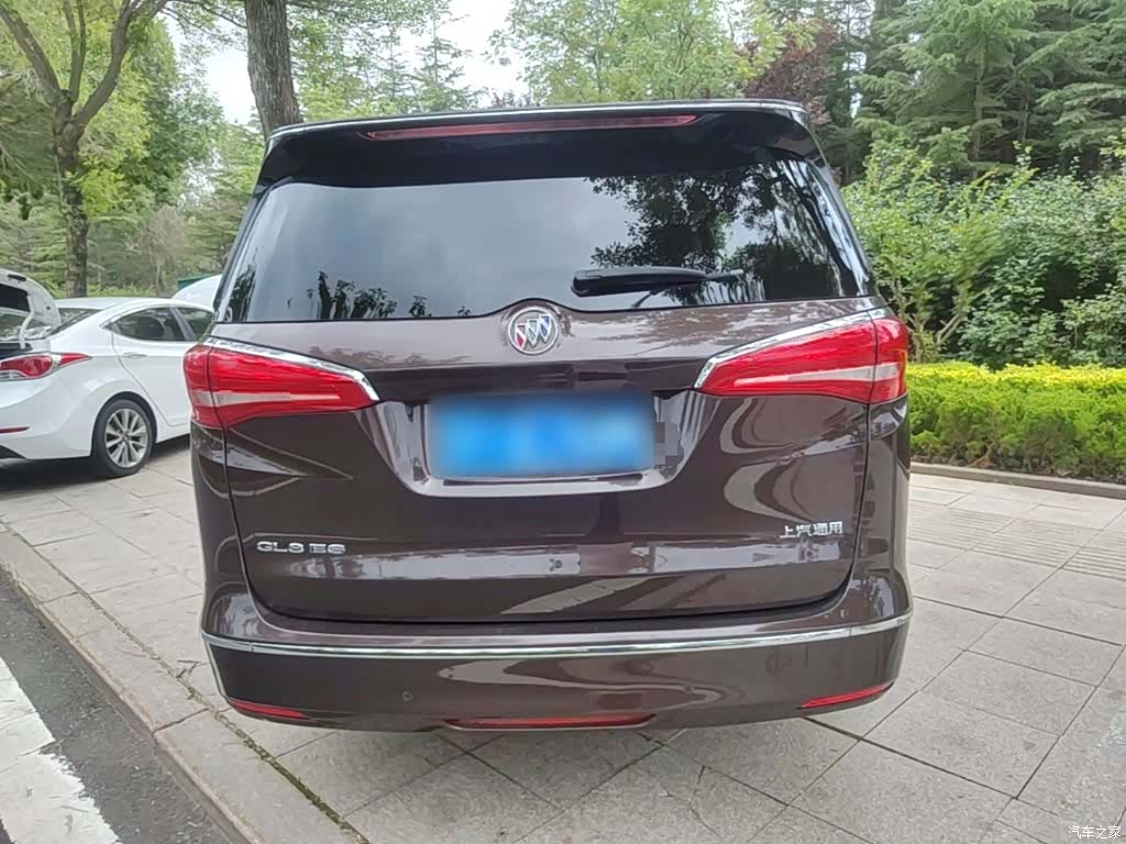 Buick GL8, 2017 6