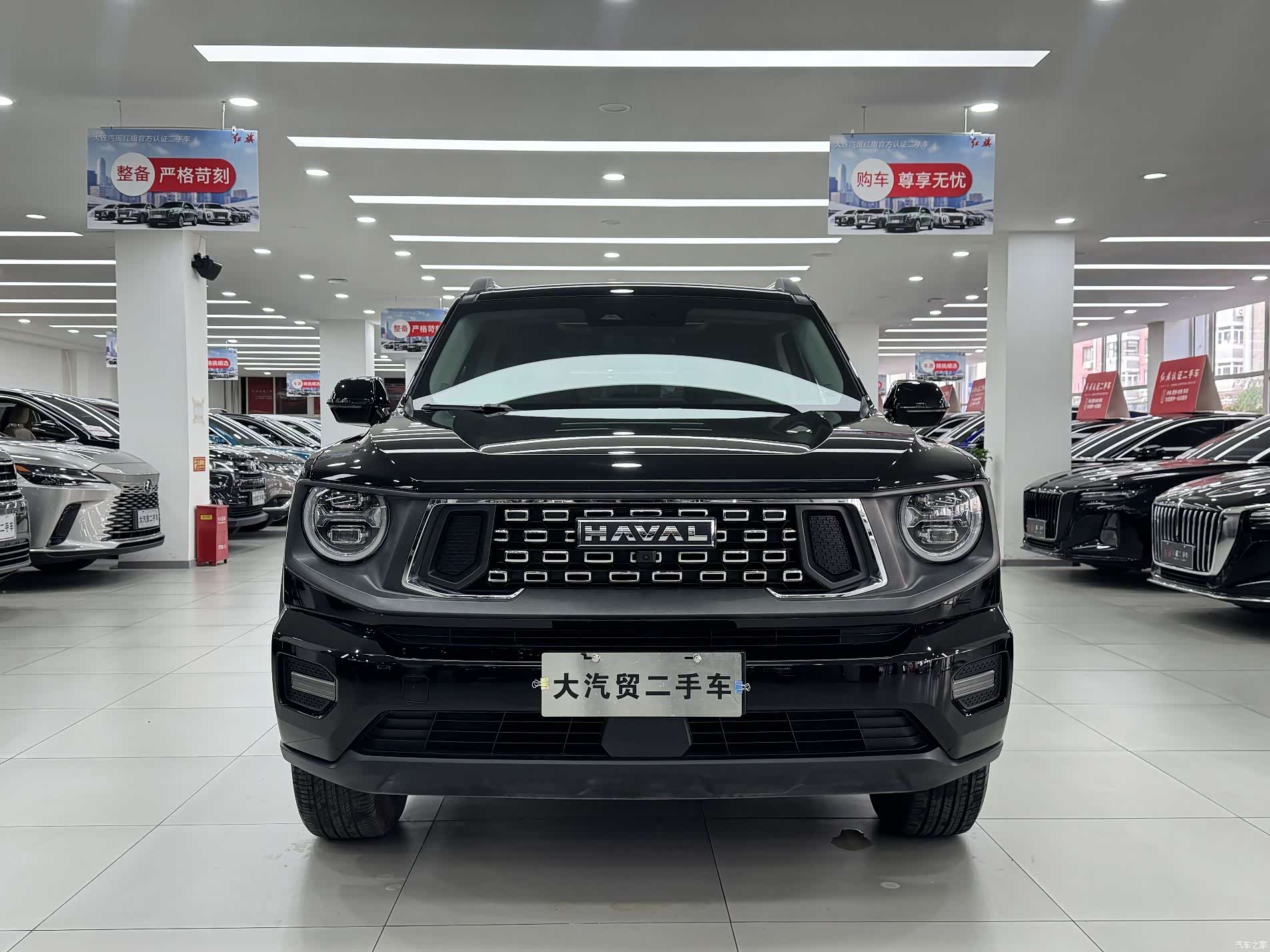 Haval Big Dog, 2024 3