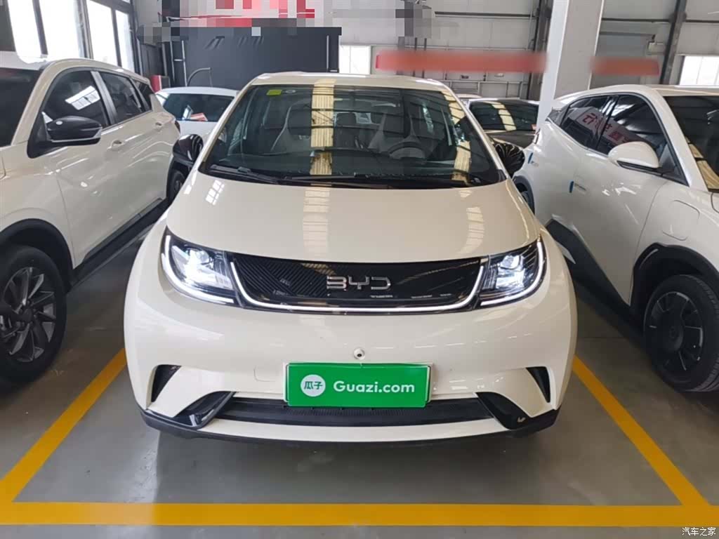 BYD Dolphin, 2026 3