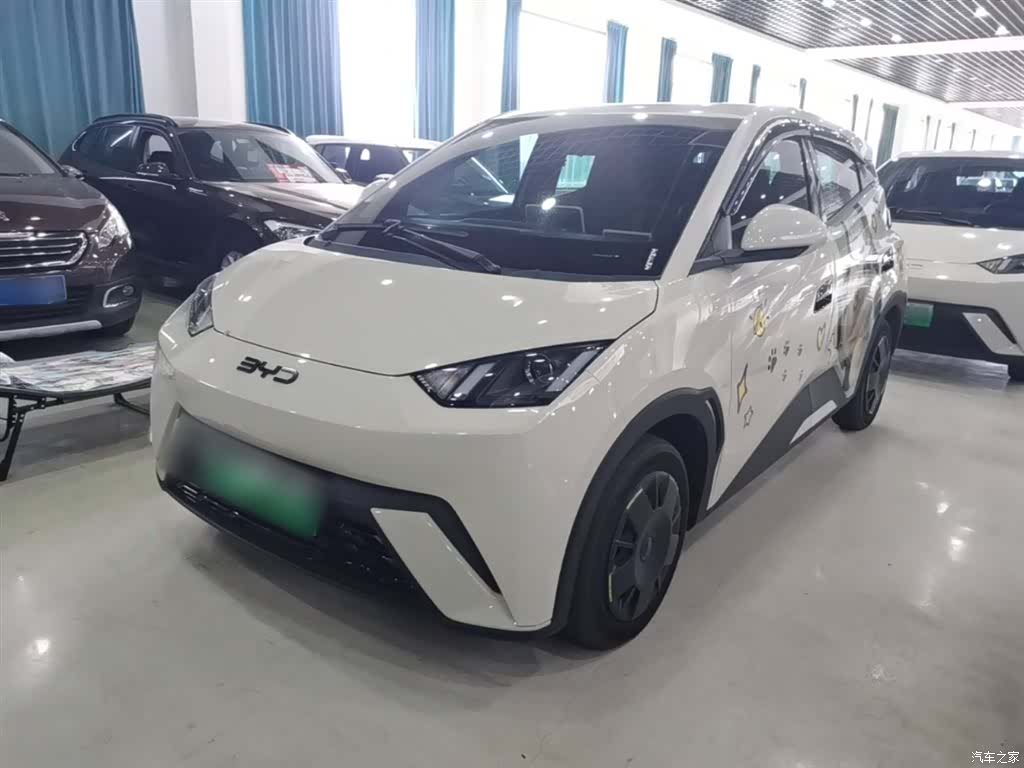 BYD Seagull, 2024 2