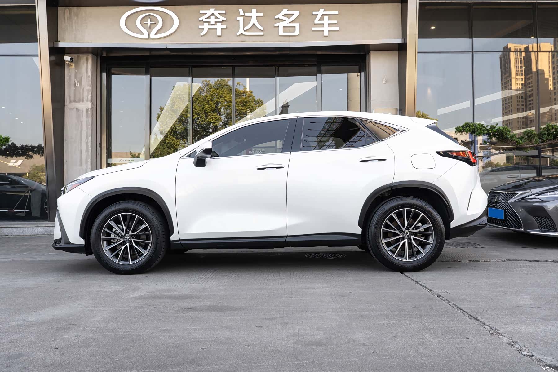 Lexus NX, 2022 4