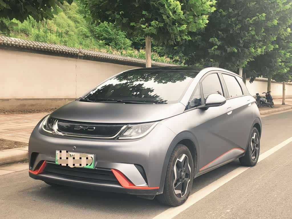 BYD Dolphin