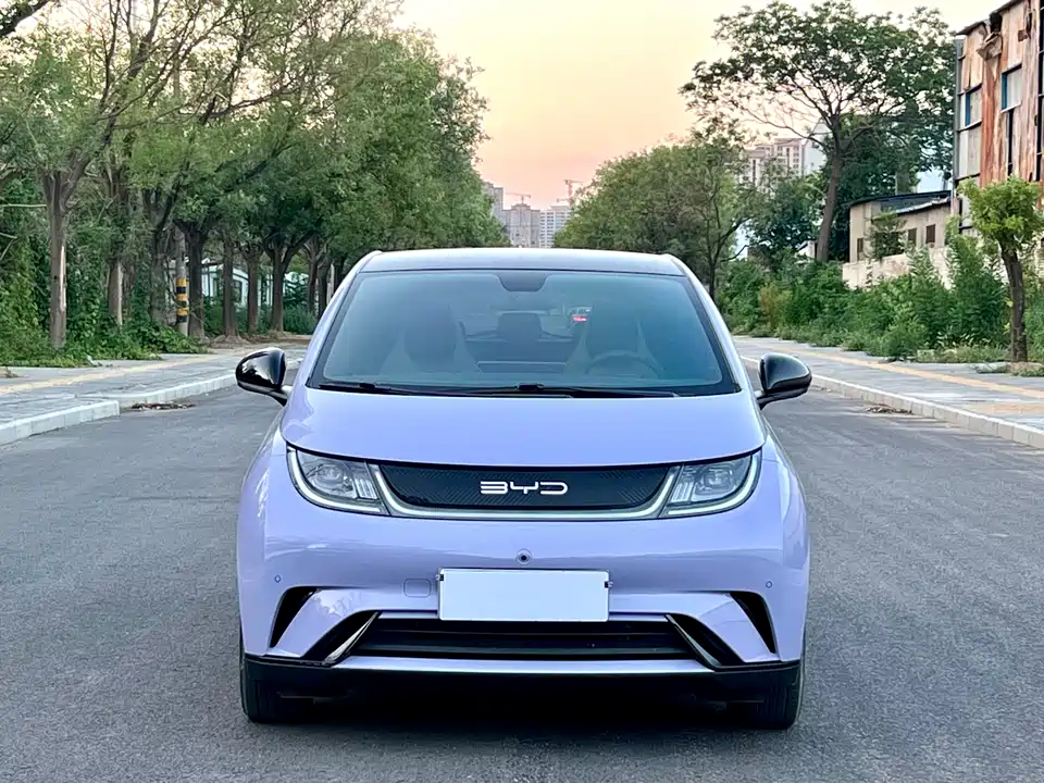 BYD dolphin