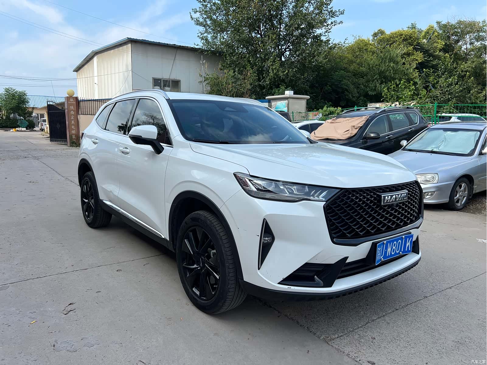 Haval H6, 2023 3