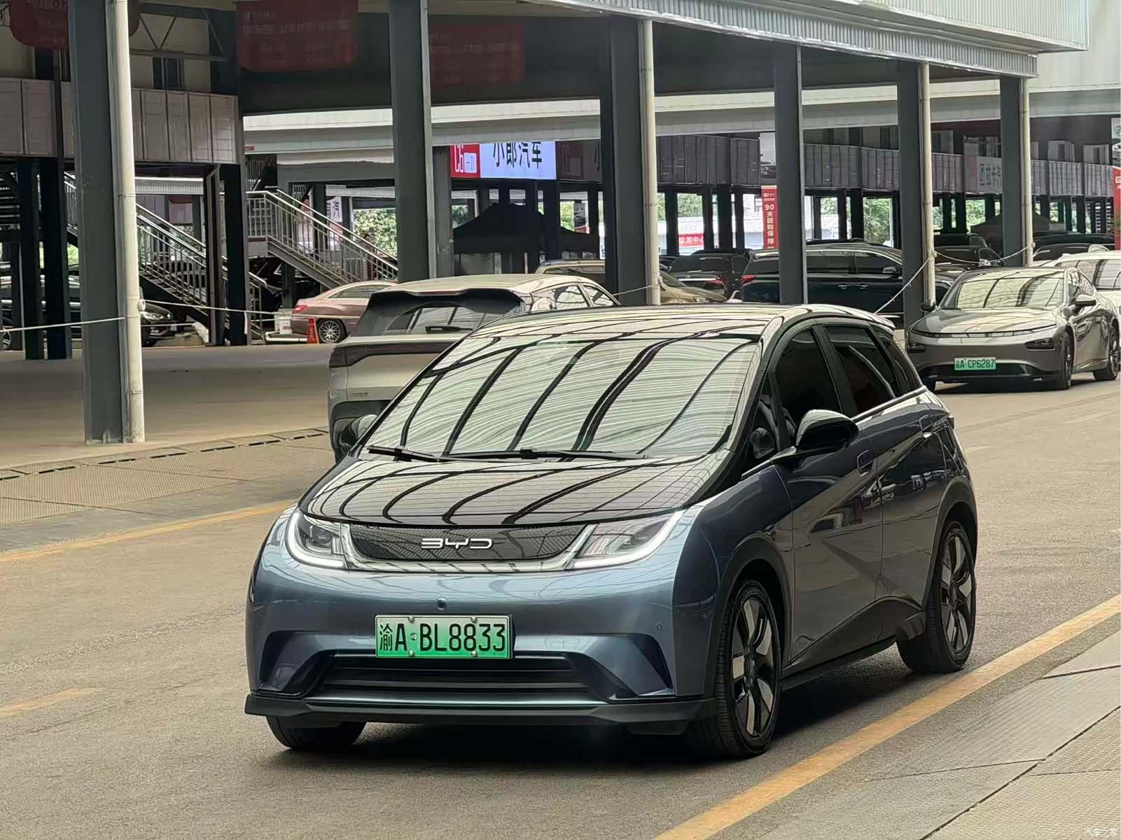 BYD Dolphin, 2023 1