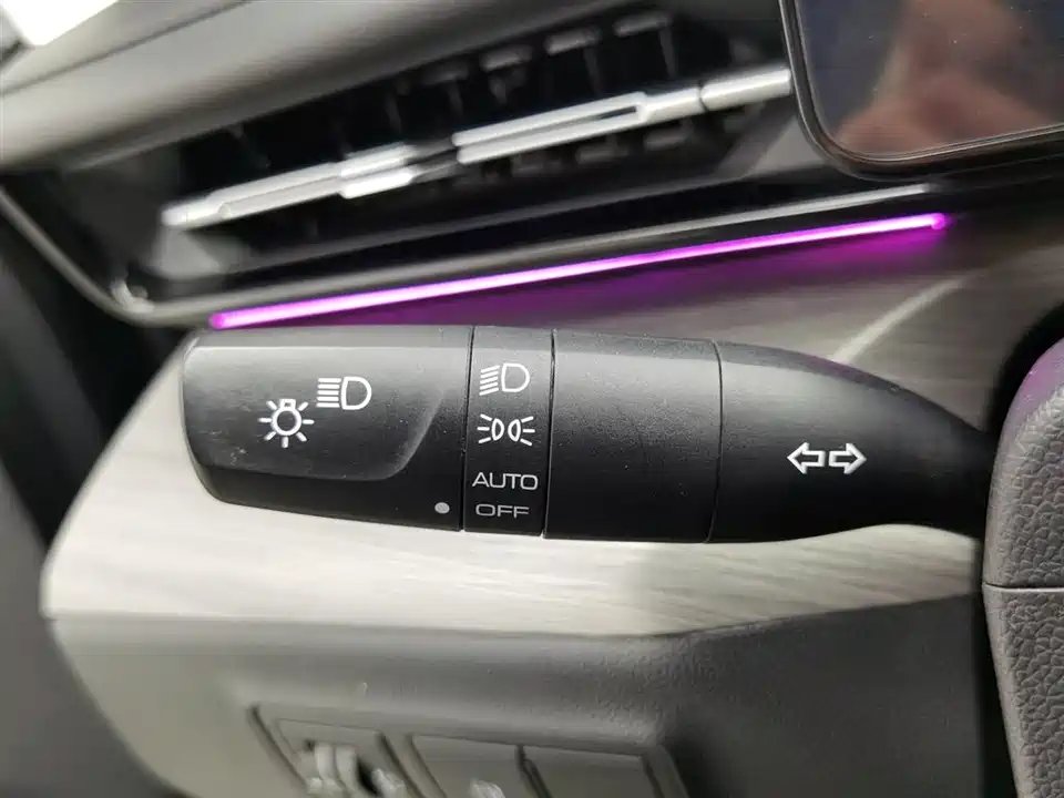 Wuling Wuling Starlight