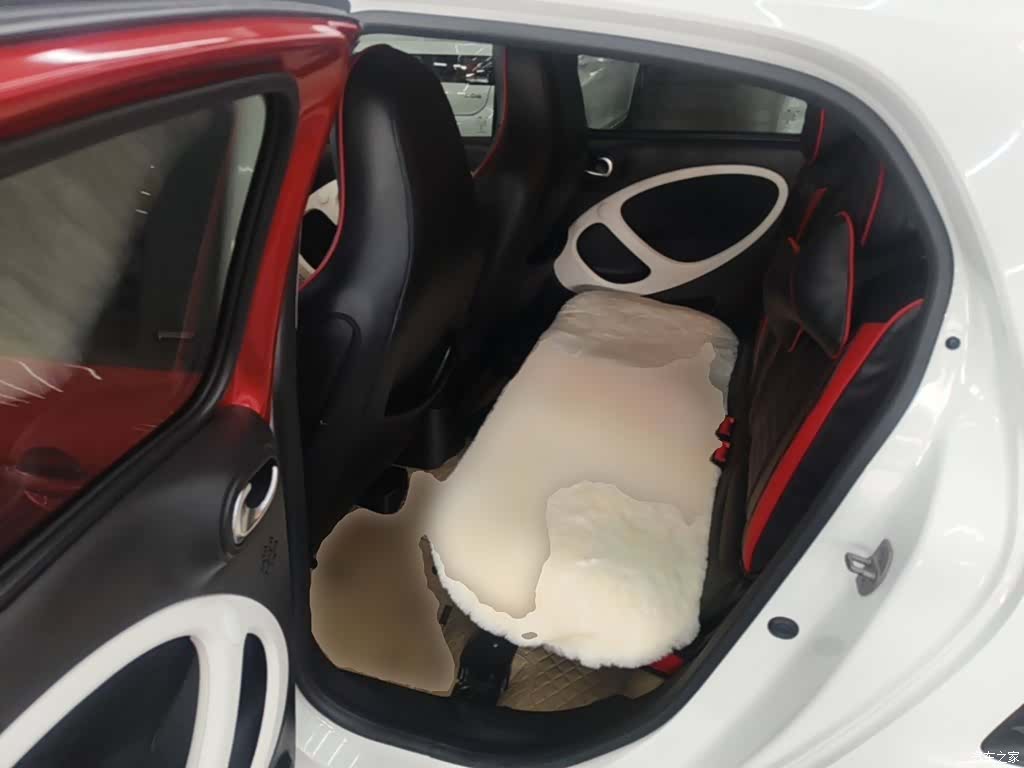 Smart Forfour, 2018 17
