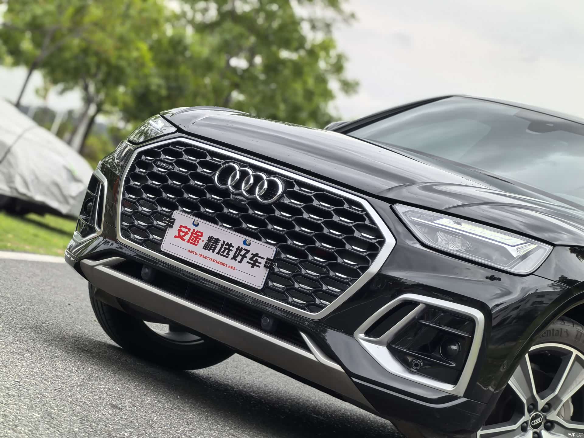 Audi Q5L, 2022 все фото