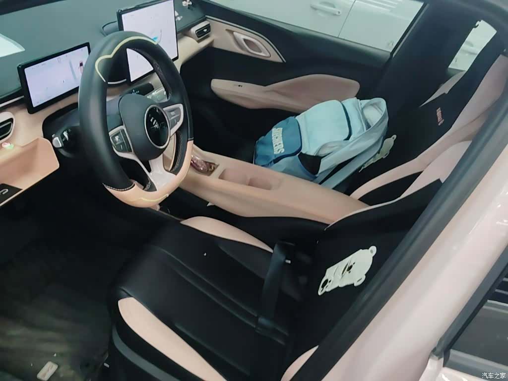 BYD Seagull, 2025 15