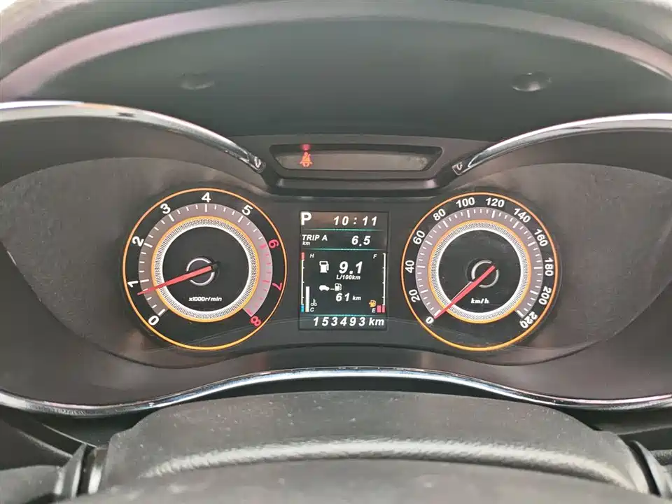 Leopaard Cheetah CS9