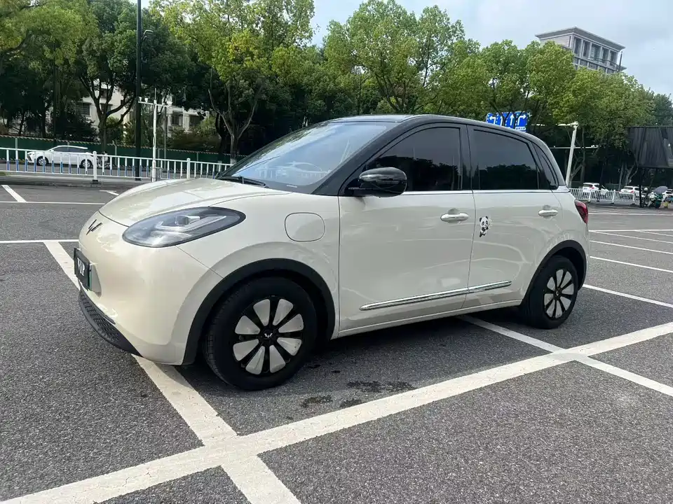 Wuling Wuling Bingguo