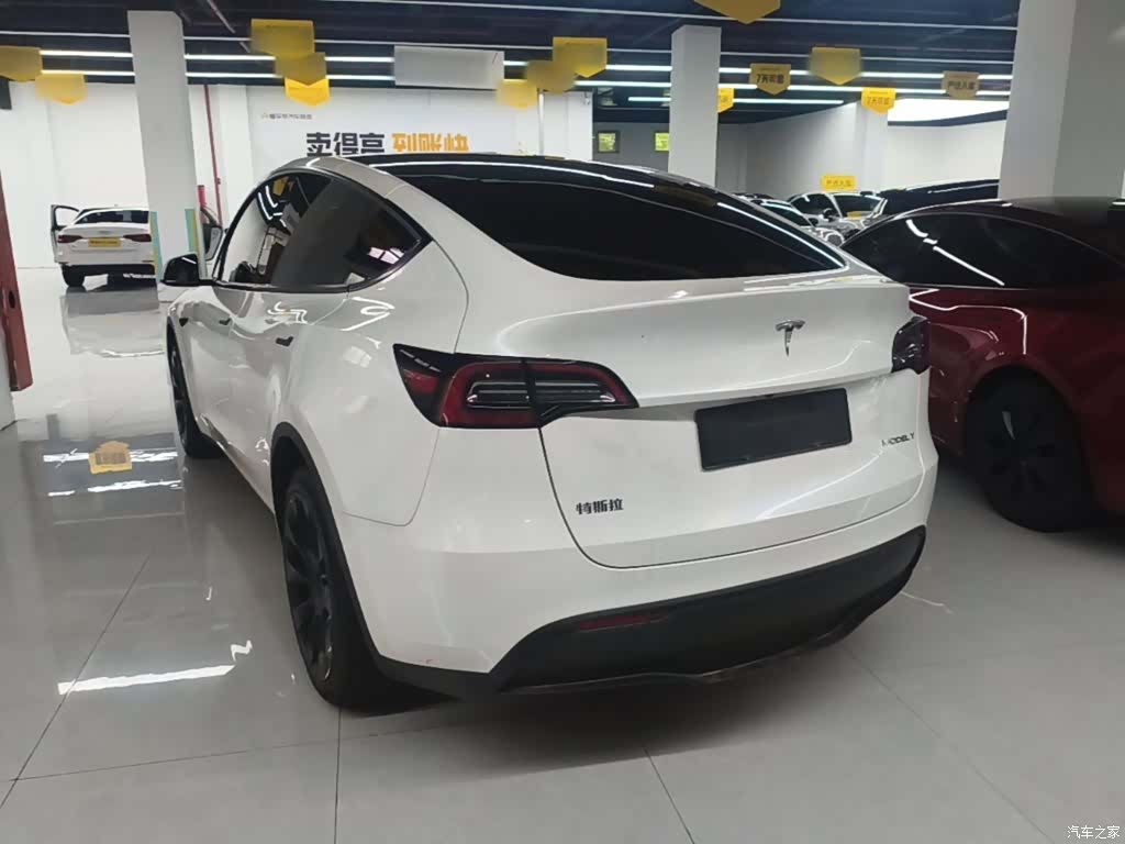 Tesla Model Y, 2021 все фото