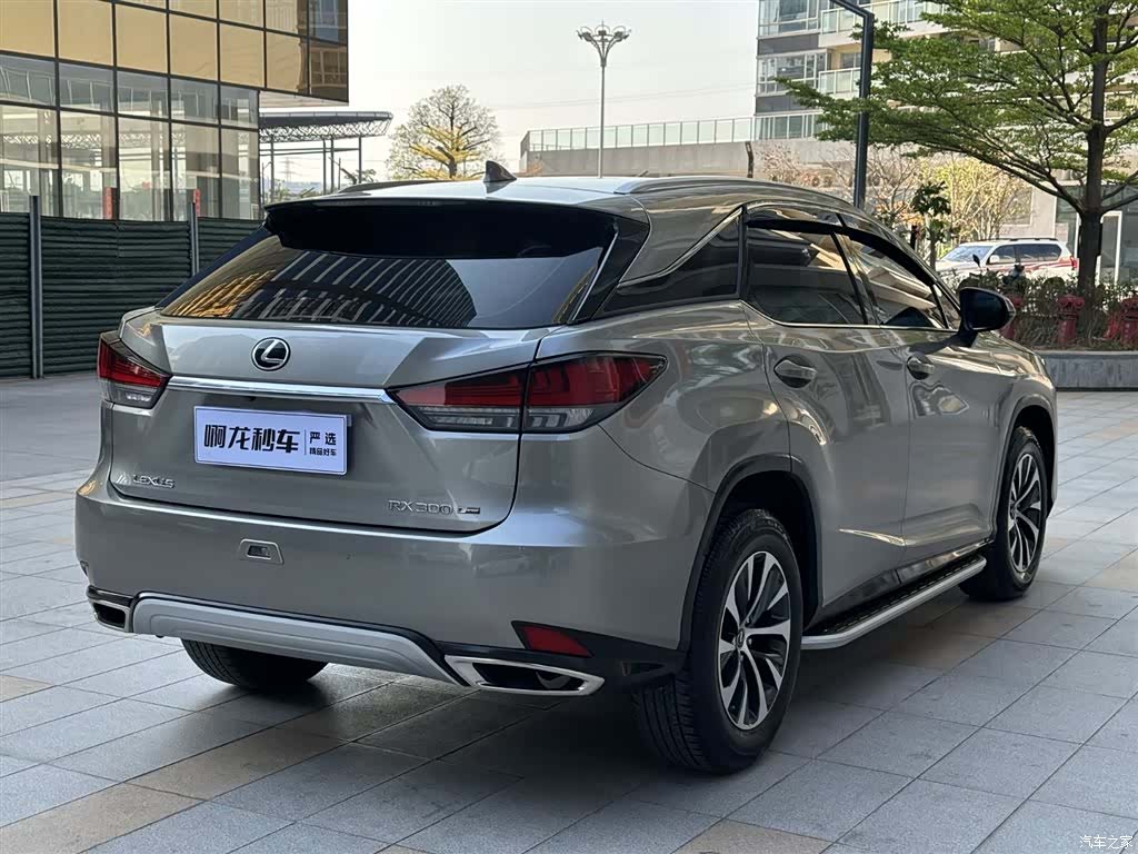 Lexus RX, 2022 6