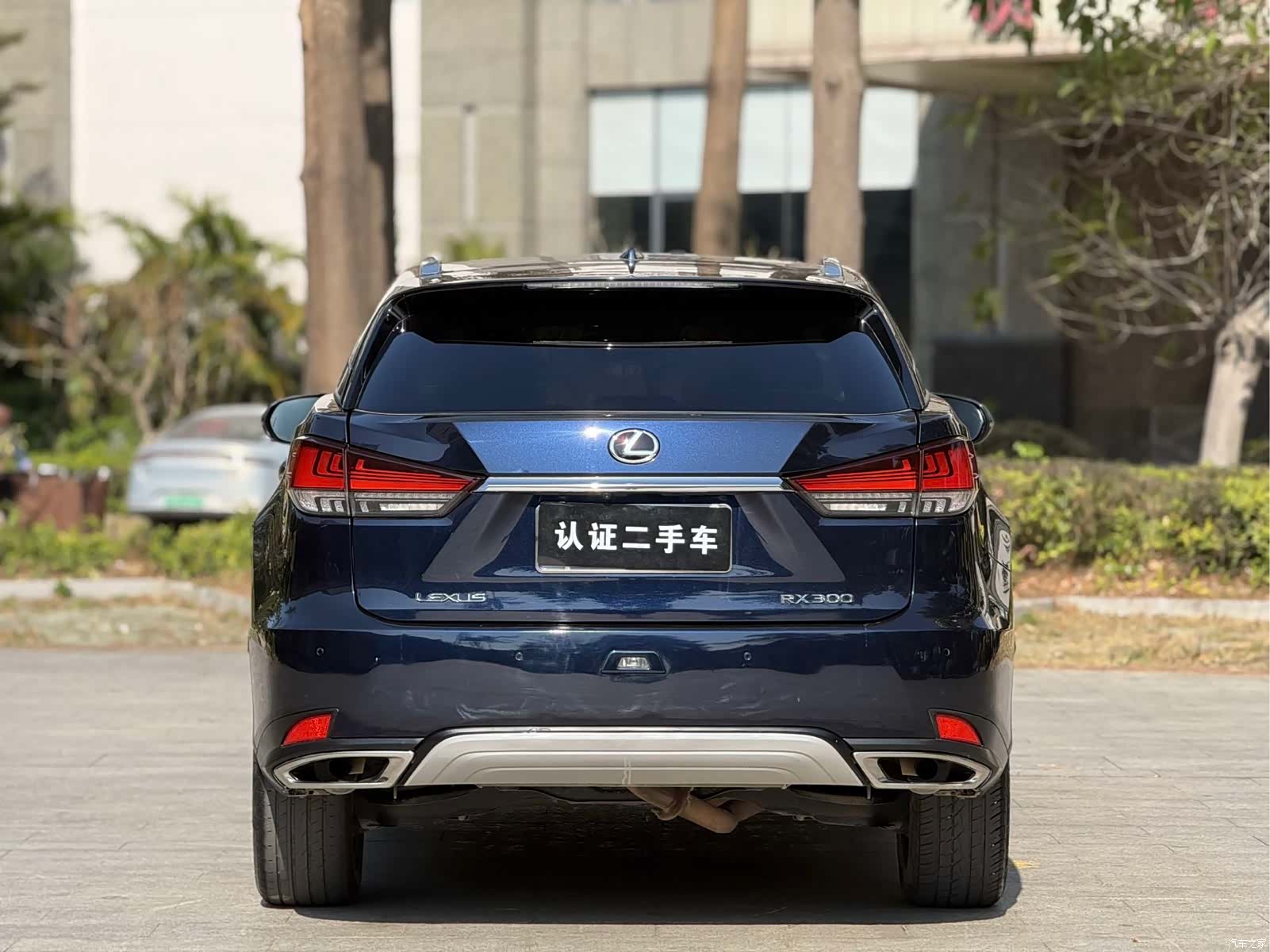 Lexus RX, 2020 20