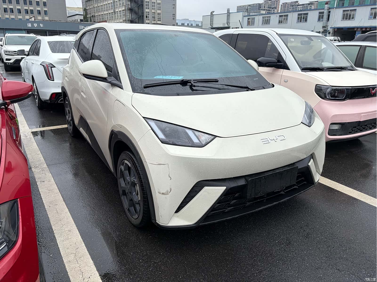 BYD Seagull, 2024 3
