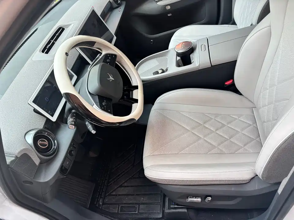 ARCFOX Polar Fox Koala S