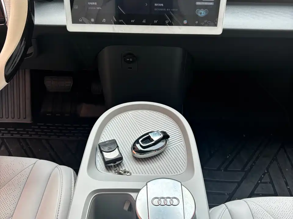 ARCFOX Polar Fox Koala S