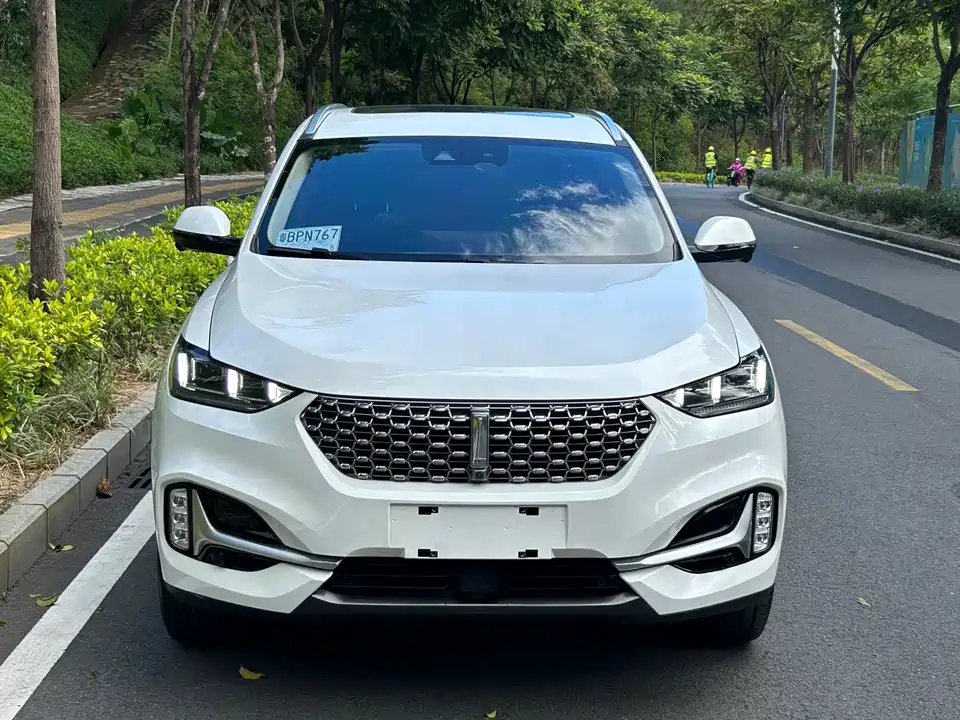 Weipai VV6