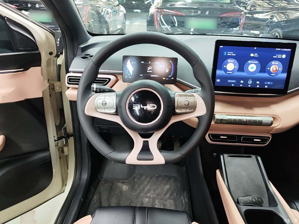 BYD Seagull, 2024 11