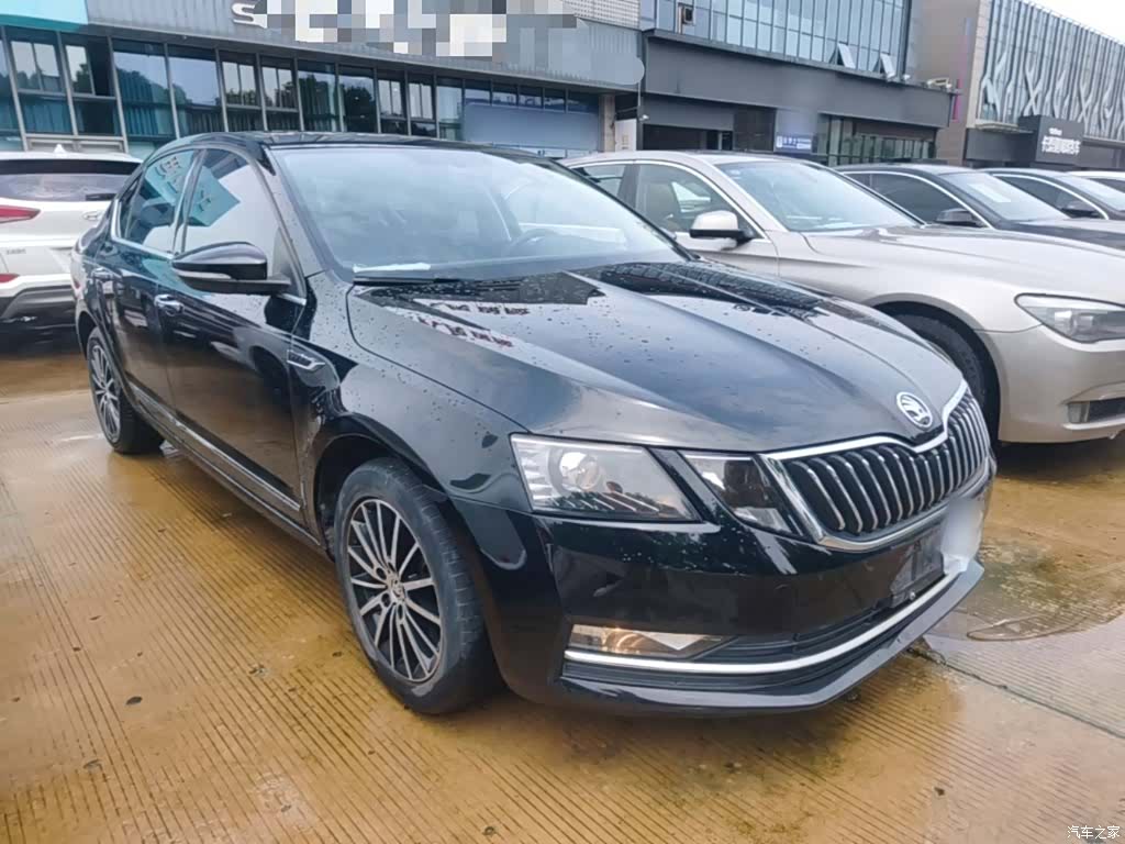 Skoda Octavia, 2019 4