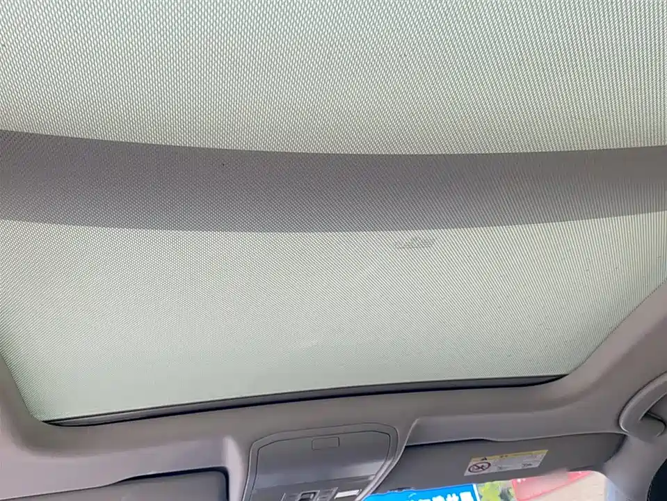 Volkswagen C-TREK Wei Collar